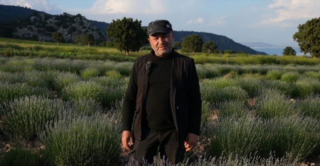 Tivibu'nun yaşam kanalı Tivilife yeni içeriklerini izleyiciye sunuyor