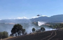 Osmaniye'de 400 dönüm buğday ve arpa ekili alan yandı