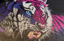 Isparta'da işletmelerin duvarları tuvali olan gencin hayali daha büyük resimler yapmak