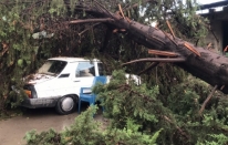 Osmaniye'de fırtına ve sağanak hayatı olumsuz etkiledi