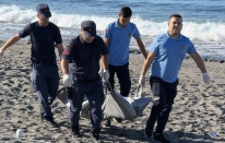 Alanya'da deniz kıyısında erkek cesedi bulundu