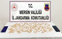 Mersin'de 943 sentetik uyuşturucu hap ele geçirildi