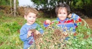 Yer Fıstığının Başkenti