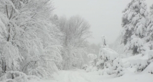Şu güzelliğe bak!