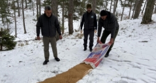 Yaban hayvanları için doğaya yem bırakıldı