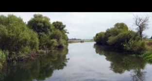 Ağaçların ve bulutların Ceyhan Nehri'ne yansıması