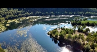 Ceyhan Nehri'nde sonbahar