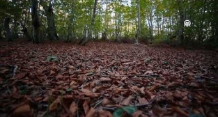 Dumanlı Yaylası sonbahar renklerine büründü