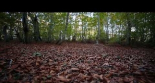 Dumanlı Yaylası sonbahar renklerine büründü