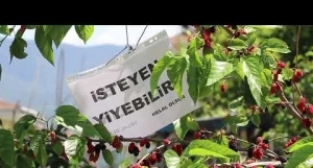 "İsteyen yiyebilir helal olsun"