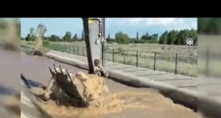 Su kanalına düşen büyükbaş hayvan kepçeyle kurtarıldı