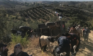 Kadirli'de devrilen traktördeki 4 kişi yaralandı