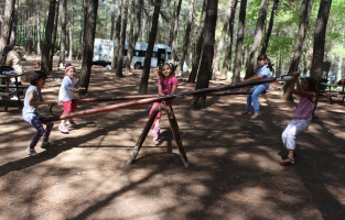 Gençlik yaz etkinlikleri piknikle sona erdi