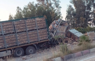 Tavuk yüklü tır eve girdi, 2 çocuk yaralandı
