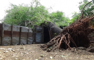 Osmaniye'nin Kadirli ve Sumbas ilçelerinde fırtına etkili oldu