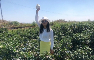 Beyaz altın diyarına, kırmızı altın projesi