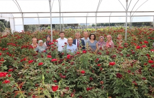 Gül Bahçesinde Yeşeren Umutlar