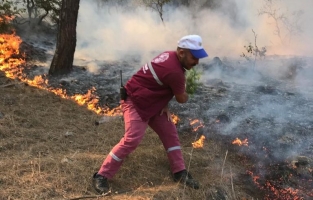 Osmaniye'de 5 hektar orman yandı