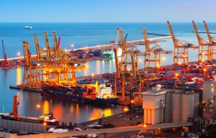 Osmaniye'nin ihracatı 246 milyon dolara yükseldi