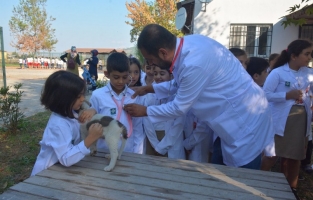 Osmaniye Belediyesi'nden 'Hayvan Sevgisi' temalı resim yarışması