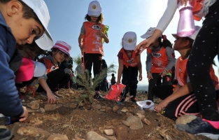 Osmaniye'de 95 bin fidan toprakla buluşturuldu