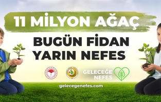 Osmaniye'de 95 bin fidan toprakla buluşacak