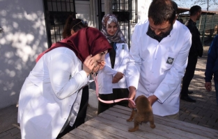 Üniversite öğrencileri Hayvan Barınağını ziyaret etti