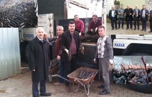 Bahçe'de çiftçilere 2 bin 500 ıhlamur fidanı dağıtıldı