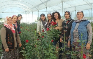 Osmaniye'nin ilk kadın kooperatifi kuruldu