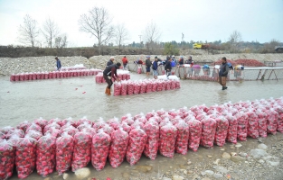 Türkiye'nin turp ihtiyacının %80'ini Kadirli karşılıyor