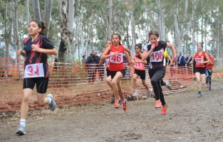 Türkiye Kros Birinciliği Yarışmaları Osmaniye'de yapılıyor