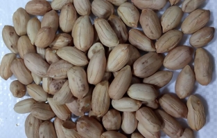 Ayşehanım ile Amerika'ya rakip olduk