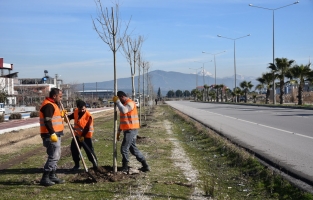 Osmaniye'ye 10 bin ağaç dikilecek