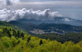 Osmaniye'de 7 alan 'yayla alanı' olmaktan çıkarıldı
