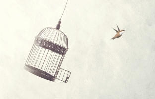 Aylin Taşar'dan Beklenen Kahraman, 'Belki De Sensin'