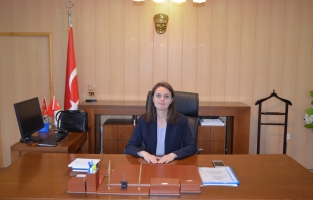 Sumbas Kaymakamı İdil Özdemir'den deprem açıklaması