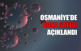 Osmaniye'deki koronavirüs vaka sayısı açıklandı