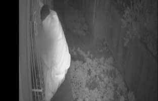 Kadın kıyafetleri ile iki evden hırsızlık yapan şahıs yakalandı