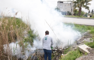 Osmaniye Belediyesi Larva ve Uçkun mücadelesini sürdürüyor