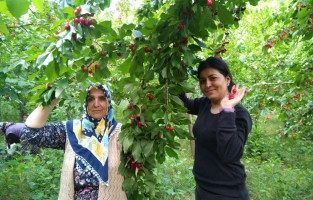 Kadınlara yönelik üretici pazarı açıldı