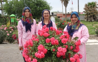 Köylü kadınlar 'Anneler Günü' için gül siparişi yetiştiriyorlar