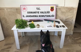 Osmaniye'de organize suç örgütüne operasyon