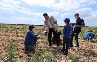 Mevsimlik tarım işçileri ve çocuklara süt dağıtıldı