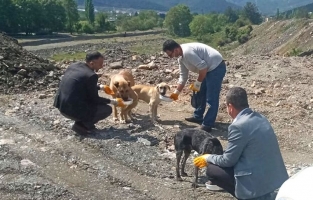 Bahçe'de sokak hayvanları için mama ve su desteği