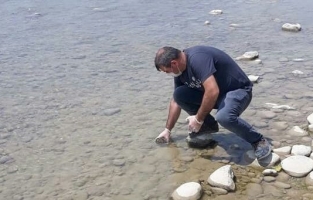 Balık ölümleri ile ilgili inceleme yapıldı