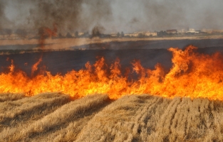 Anız yakan 100 kişiye 108 bin 919 lira ceza yazıldı