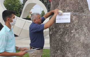 Devlet Bahçeli Meydanındaki çınarlar da kuruyor!