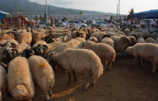 Osmaniye Belediyesinden Kurban Bayramı tedbirleri