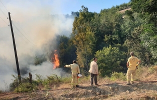 Osmaniye'de 15 hektar ormanlık alan yandı