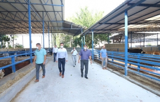 Tarım ve Orman Bakanlığından Osmaniye'de 9 projeye hibe destek